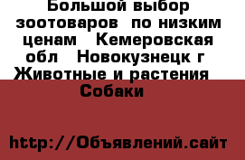 Большой выбор зоотоваров, по низким ценам - Кемеровская обл., Новокузнецк г. Животные и растения » Собаки   